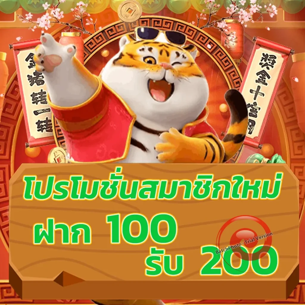 pg wallet เว็บสล็อต 2024
